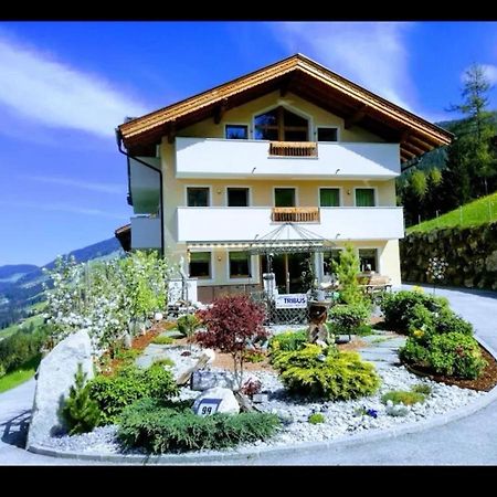 Ferienwohnungen Hinterstein Hart im Zillertal Luaran gambar