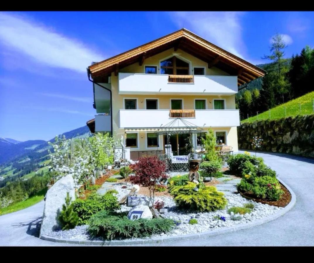 Ferienwohnungen Hinterstein Hart im Zillertal Luaran gambar