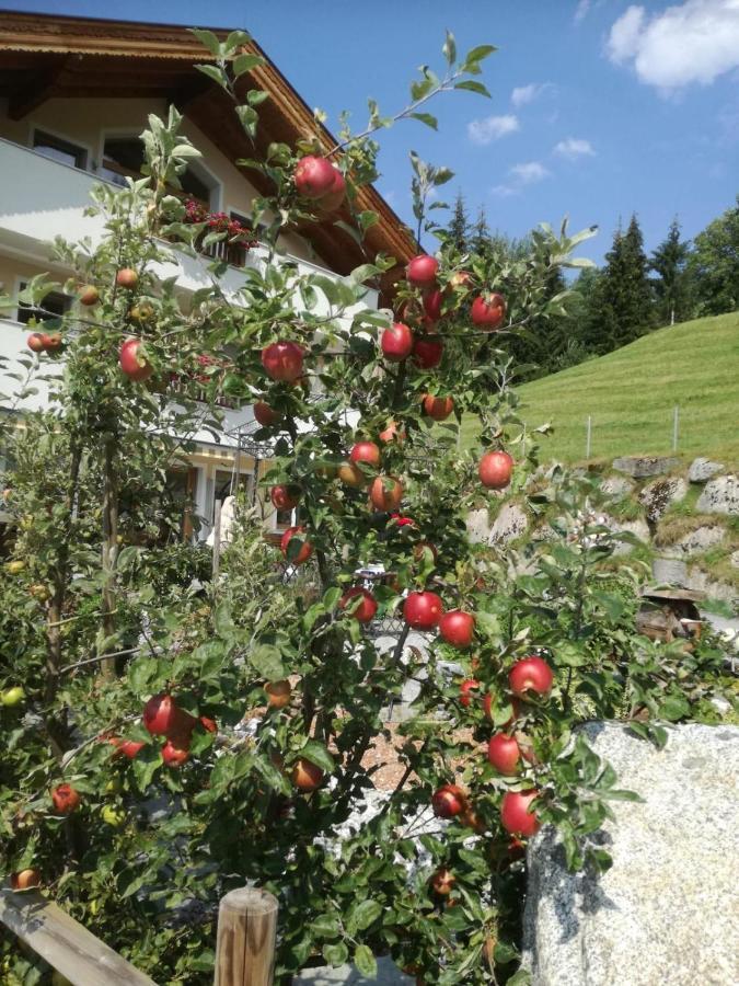 Ferienwohnungen Hinterstein Hart im Zillertal Luaran gambar